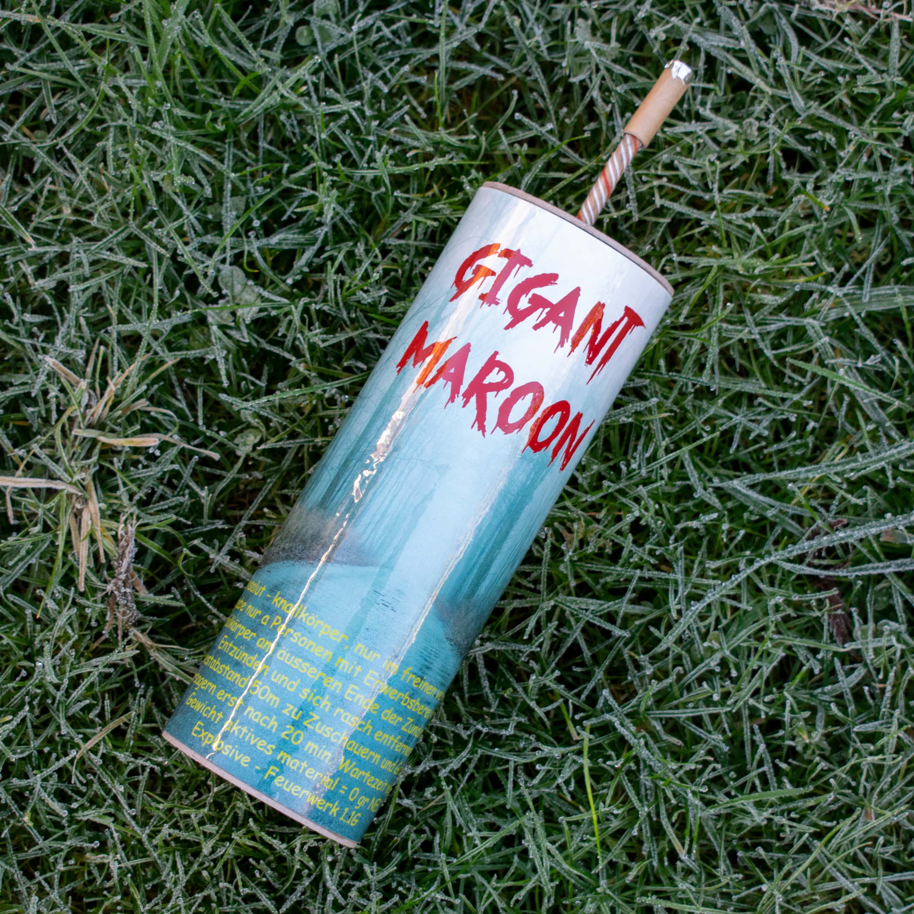 Giant Maroon - Dummy 